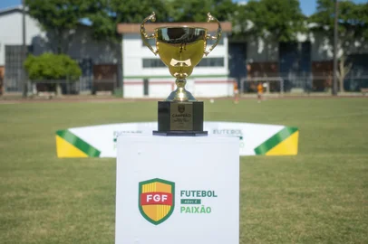 Gauchão Feminino sub-17<!-- NICAID(16140258) -->