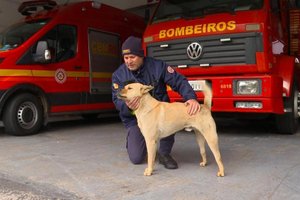 Reprodução / RBS TV