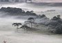 FOTOS: Santa Catarina tem primeira geada do ano e temperatura próxima a 0°C