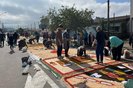 Cerca de 200 fiéis confeccionam tapetes em Gravataí neste feriado de Corpus Christi.  Foto: Fernanda Polo / Agencia RBS<!-- NICAID(15777341) -->
