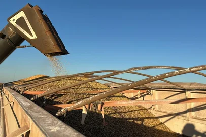 Colheita da soja 2025 tem abertura oficial em Tupanciretã<!-- NICAID(16000833) -->