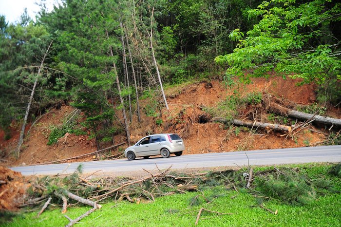 Árvores deixadas na encosta no km 159 da RS-453, em Caxias do Sul.