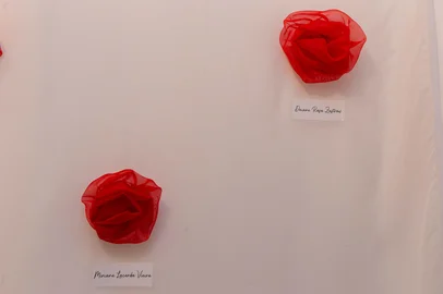 Entre as obras da recém-inaugurada exposição “Mulheres silenciadas”, da artista visual Ivone Rabelo, na Gravura Galeria de Arte, está o painel intitulado “A ausência tem nome”. Produzido este ano, apresenta 24 nomes de vítimas de feminicídio no Rio Grande do Sul – no momento a triste estatística já soma 33 mortes de mulheres por homens com quem elas se relacionavam afetivamente.Cada nome de vítima é acompanhado de uma flor em voal vermelho - o mesmo tecido, na cor branca, usado como fundo do painel, de 3,20 x 1,70 m. Com curadoria de Ana Zavadil, a mostra fica em cartaz até 6 de junho na Gravura (Rua Corte Real, 647). A entrada é gratuita.<!-- NICAID(16295328) -->