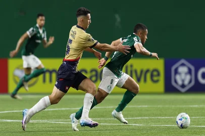 Vítor Roque, Palmeiras, futebol
