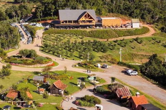 Olivas de Gramado / Divulgação