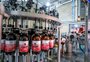 Três cervejas gaúchas disputam pódio em concurso nacional