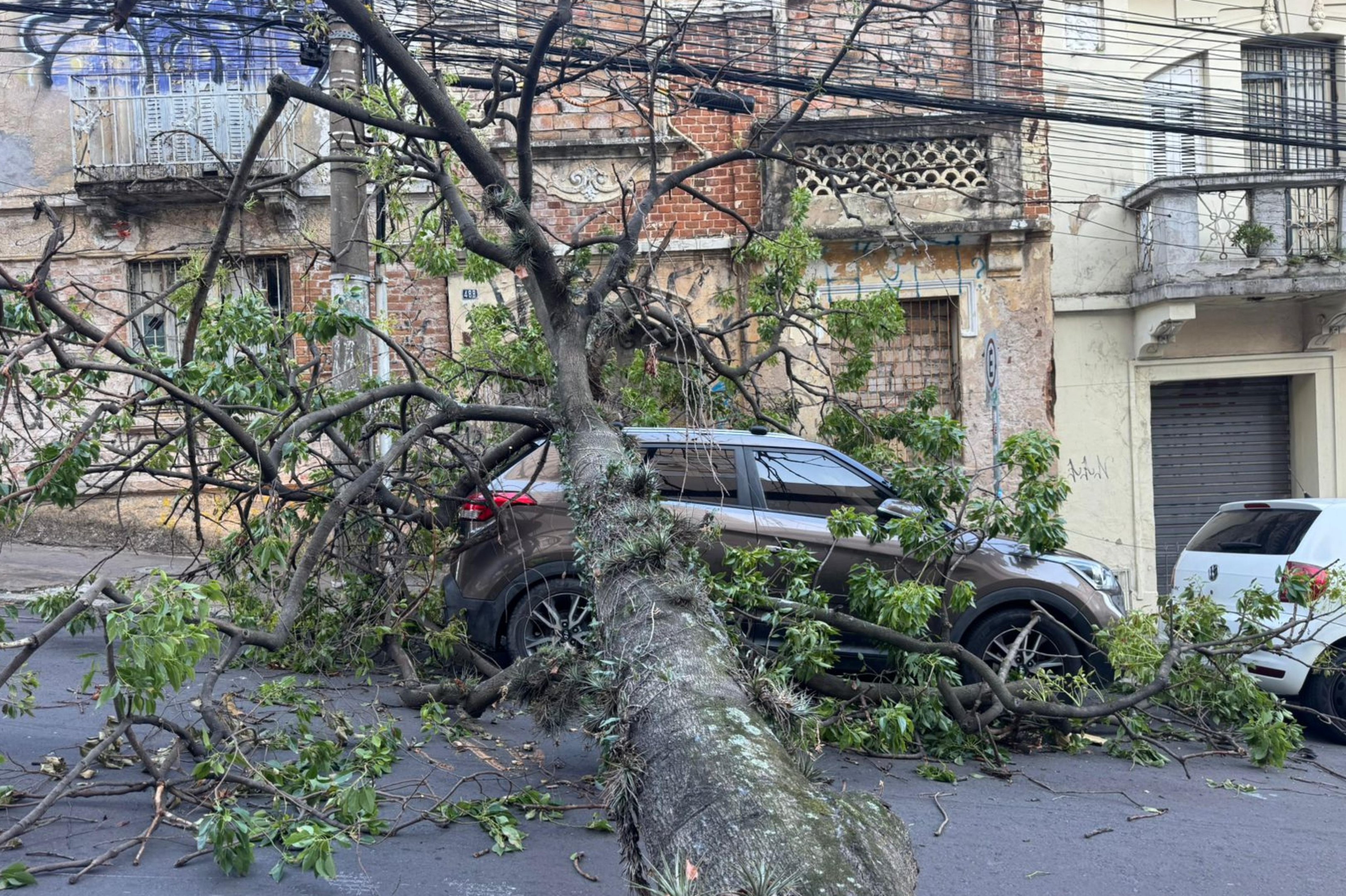 &Aacute;rvore cai sobre carro e bloqueia Rua Barros Cassal, em Porto Alegre