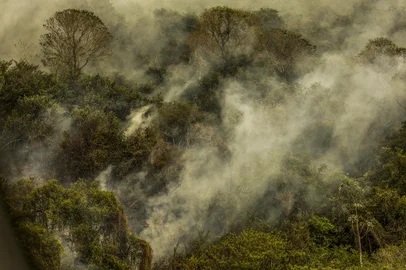 CorumbÃ¡ (MS), 30/06/2024 - Imagens aÃ©reas mostram Ã¡reas devastadas pelo fogo no Pantanal. Foto: Marcelo Camargo/AgÃªncia BrasilCorumbá (MS), 30/06/2024 - Imagens aéreas mostram áreas devastadas pelo fogo no Pantanal. Foto: Marcelo Camargo/Agência Brasil/DivulgaçãoLocal: CorumbÃ¡Indexador: Marcelo Camargo/AgÃªncia BrasilFonte: AgÃªncia Brasil/Empresa Brasil dFotógrafo: Reporter Fotografico<!-- NICAID(15806844) -->
