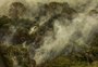 Incêndios podem ter degradado 9% do Pantanal nos últimos cinco anos