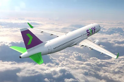 SKY companhias aéreas<!-- NICAID(15351083) -->