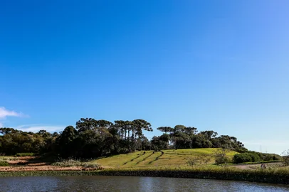 SÃO FRANCISCO DE PAULA, RS, BRASIL, 29/07/2023. Mátria Parque de Flores, de São Francisco de Paula, é selecionado para Bienal Internacional de Paisagem, em Barcelona. A reportagem visitou a estrutura que está prestes a completar dois anos. (Neimar De Cesero/Agência RBS)<!-- NICAID(15497862) -->
