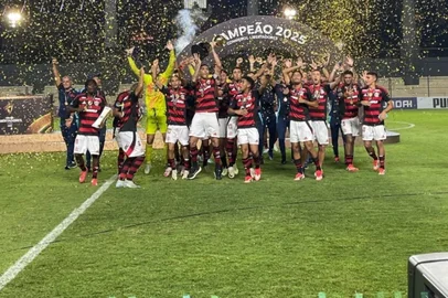 Flamengo, Libertadores sub-20