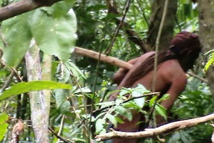 Reprodução / Funai