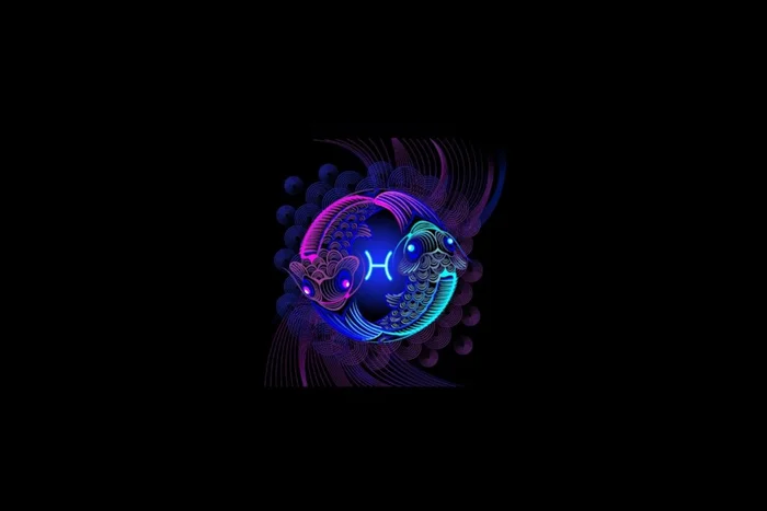 Tatyana Prokofieva / Shutterstock | Portal EdiCase