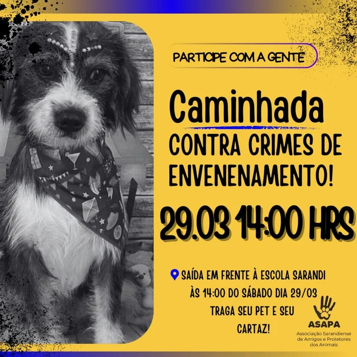 Arquivo Pessoal / Divulgação
