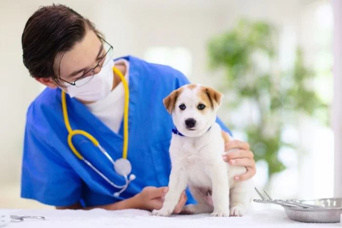 FamVeld / Shutterstock | Portal EdiCase