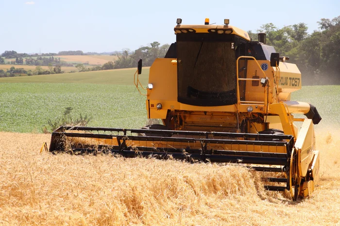 Suellem Cavalcante / Emater/ Divulgação