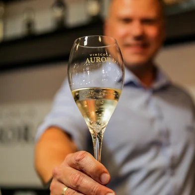 ZERO ÁLCOOL: entre as empresas da Serra, tem crescido o investimento em produtos na linha 0% álcool. (Neimar De Cesero/Agência RBS)Indexador: Neimar De Cesero<!-- NICAID(15983614) -->