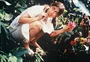 Cinemateca Paulo Amorim exibe versão remasterizada de filme de 1985 com Fernanda Torres