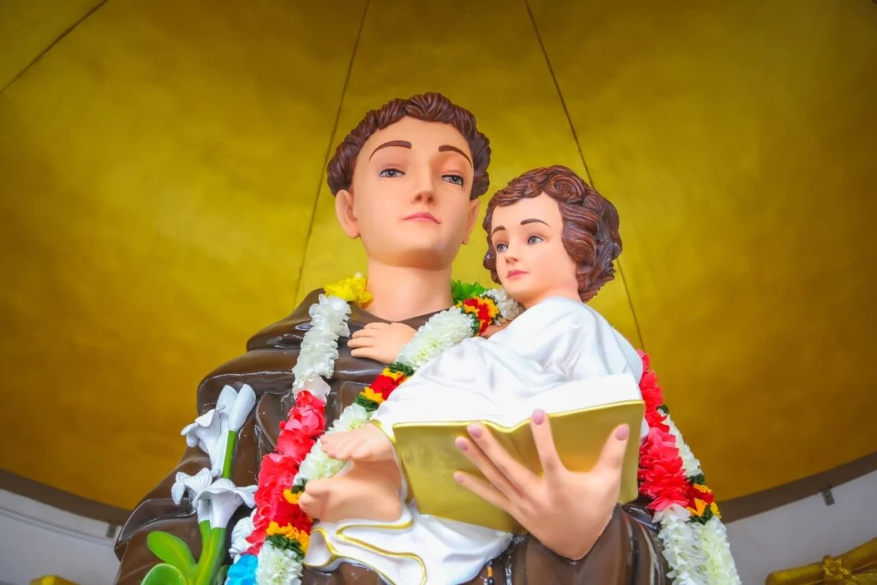 Immaculate/Shutterstock | Portal EdiCase