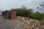 Caminhão carregado de lixo e entulho tomba e causa bloqueio parcial na BR-290, em Eldorado do Sul<!-- NICAID(15517220) -->