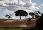 Propriedade rural no Banhado do Maçarico, em Rio Grande, recebe reconhecimento da Unesco