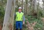 O profissional que conecta o manejo das florestas com a indústria e a sustentabilidade