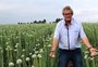 Produtor gaúcho conquista tricampeonato com a melhor semente de cebola do Brasil