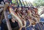 Da picanha à costela, do pirarucu ao jacaré, festival do churrasco atrai multidão em Porto Alegre