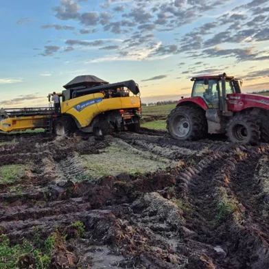 Estiagens, juros altos e queda no preço da soja afetaram a atividade do grupo familiar, que cultiva seis mil hectares no Pampa<!-- NICAID(16053915) -->