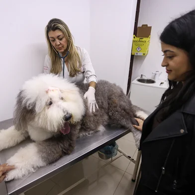 PORTO ALEGRE, RS, BRASIL, 12-06-2026: A reportagem acompanhou a consulta da Aretha, uma sheepdog de 11 anos, para matéria sobre como é possível equilibrar os gastos com animais de estimação. Na foto, a veterinária Claudia Krefta e a tutora Camille Pias dos Santos. Foto: Bruno Todeschini/Agência RBS<!-- NICAID(16305386) -->