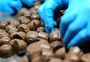 El Niño pode afetar o preço do chocolate; entenda