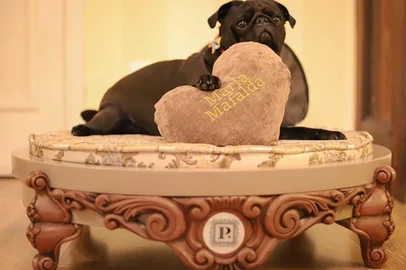 Petit Casa da Montanha investe no turismo petlover.<!-- NICAID(15988380) -->