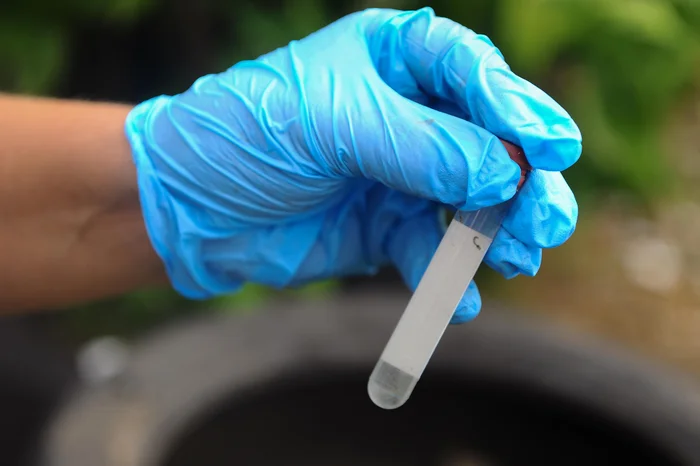 Bruno Todeschini / Agencia RBS