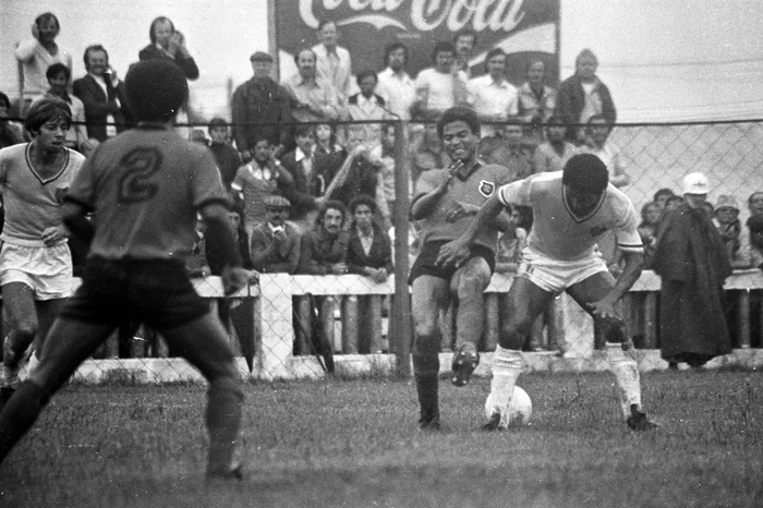 Particular / Particular Particular / Particular