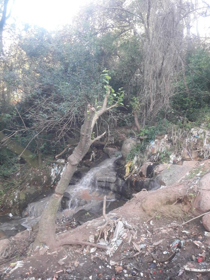 Foi possível recuperar um córrego que estava no local