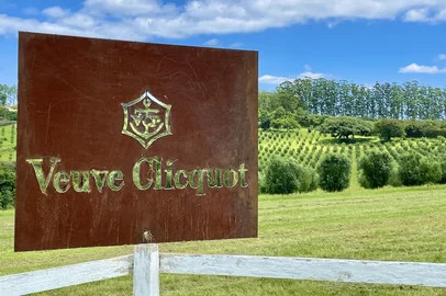 Parceria da Estância das Oliveiras com a Veuve Clicquot<!-- NICAID(16081054) -->