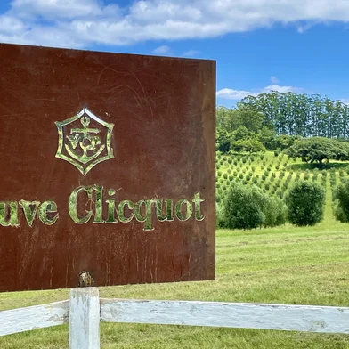Parceria da Estância das Oliveiras com a Veuve Clicquot<!-- NICAID(16081054) -->