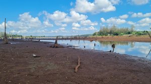 Günther Scholer / Agencia RBS