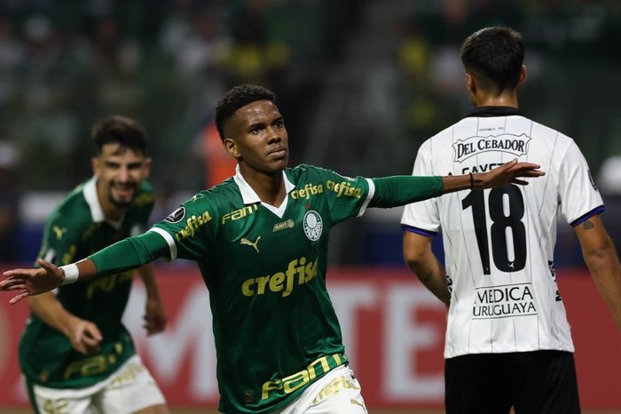 Cesar Greco / Palmeiras / Divulgação