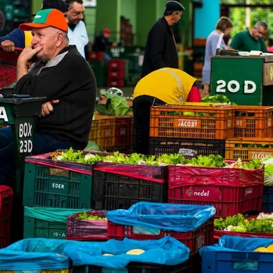 Do produtor às prateleiras: episódio final de "No Caminho do Agro" revela os bastidores da Ceasa RS<!-- NICAID(16342518) -->
