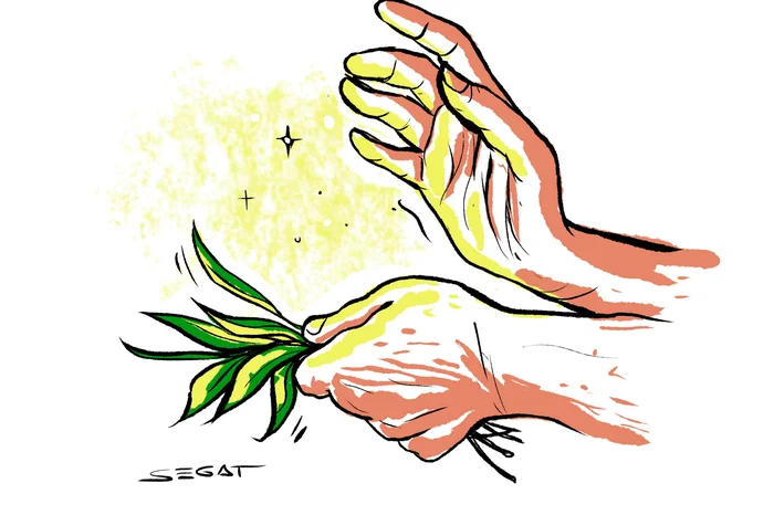 Charles Segat / Especial