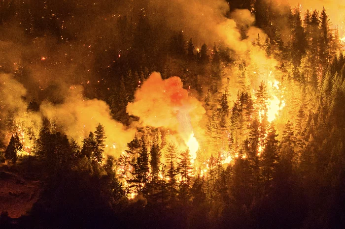 Martin LEVICOY / AFP