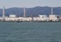 Peixes de Fukushima apresentam nível de radiação 180 vezes acima do limite para consumo humano
