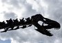 FOTOS: fóssil de maior dinossauro já colocado à venda vai a leilão na França