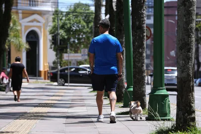CAXIAS DO SUL, RS, BRASIL, 24/01/2026. Calor e clima seco se estendem até a metade da próxima semana na Serra. Na foto: homem caminha com cachorro. (Ariéli Ziegler/RBS)Indexador: Arieli Ziegler<!-- NICAID(16210987) -->