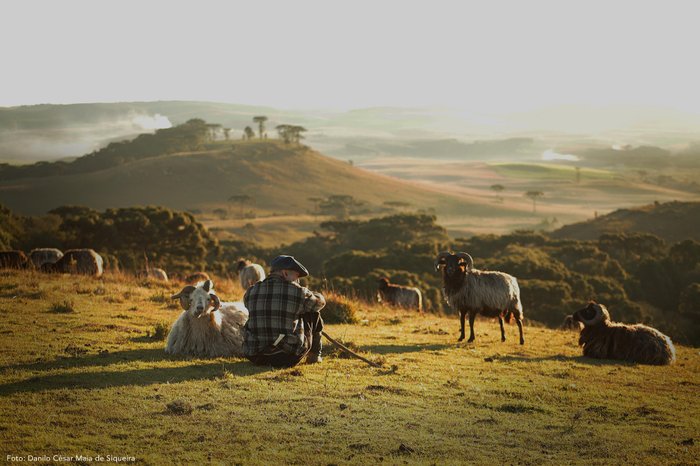 Danilo Siqueira / Divulgação
