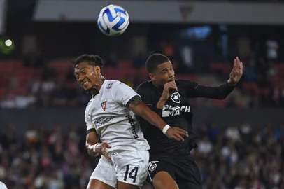 LDU x Botafogo, Sul-Americana