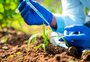 Com menos vagas, mas posições e salários melhores: o novo desenho do mercado de trabalho do agro