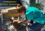 Homem é preso em flagrante após denúncias de maus-tratos a cachorro em São Leopoldo  